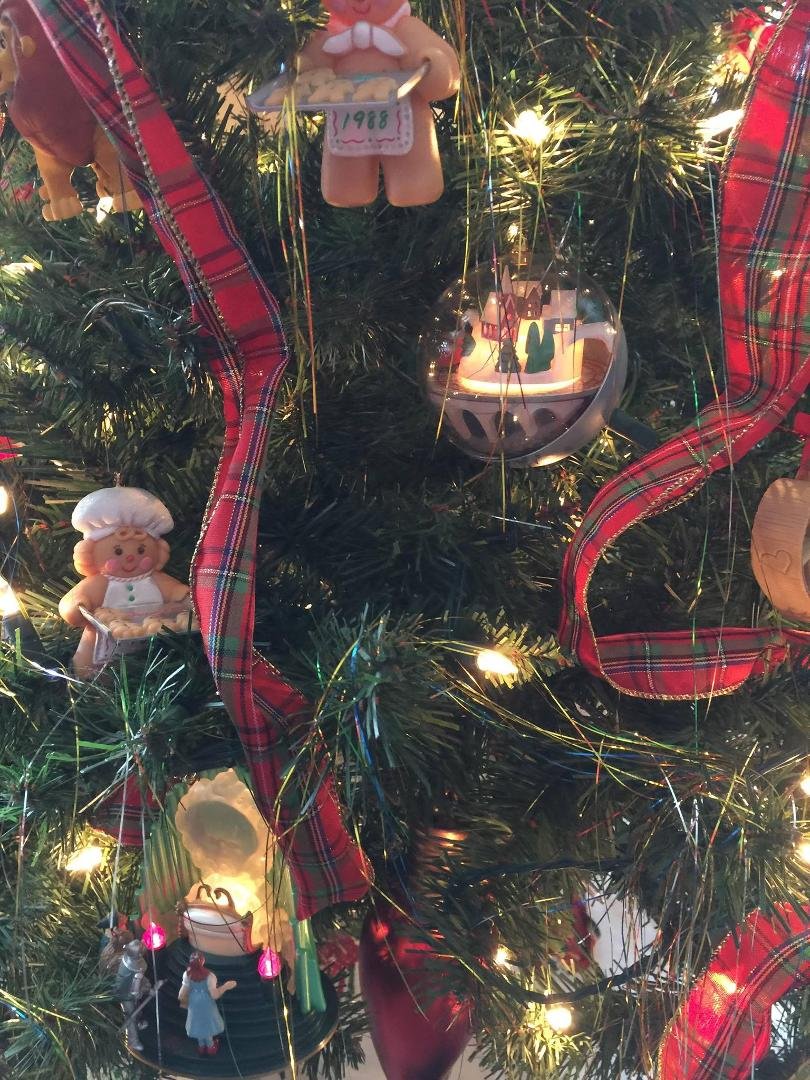 Dede Folger's album, Timeline photos