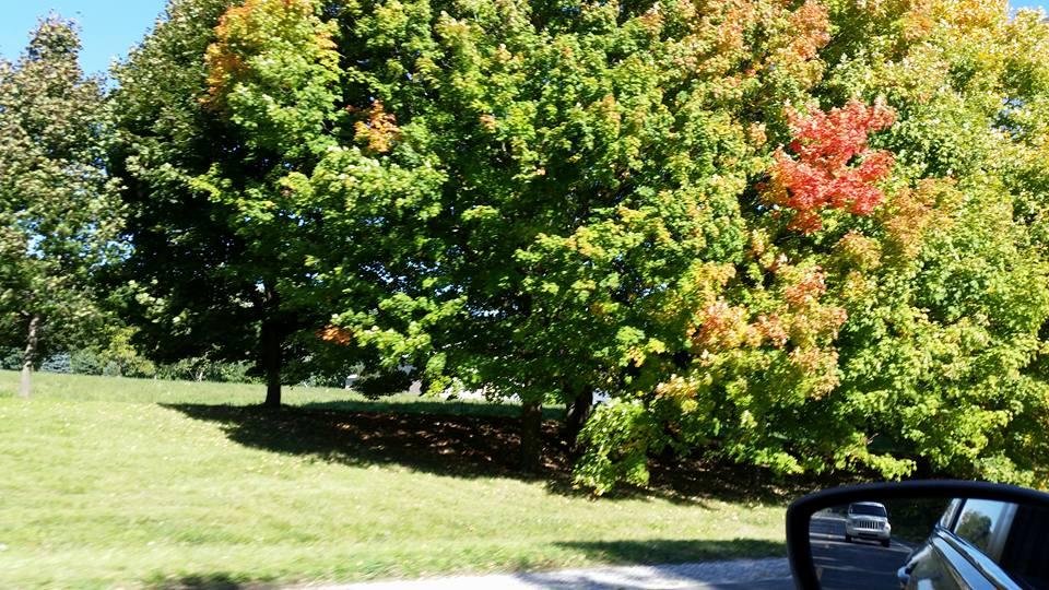 Fall has started