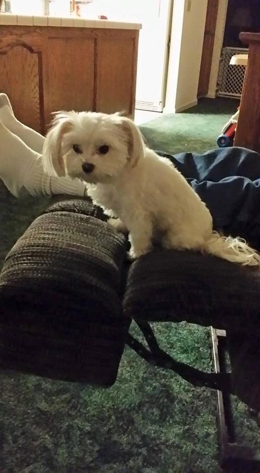 I love my Mitzi!