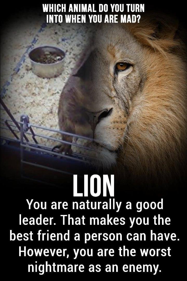 good likeness