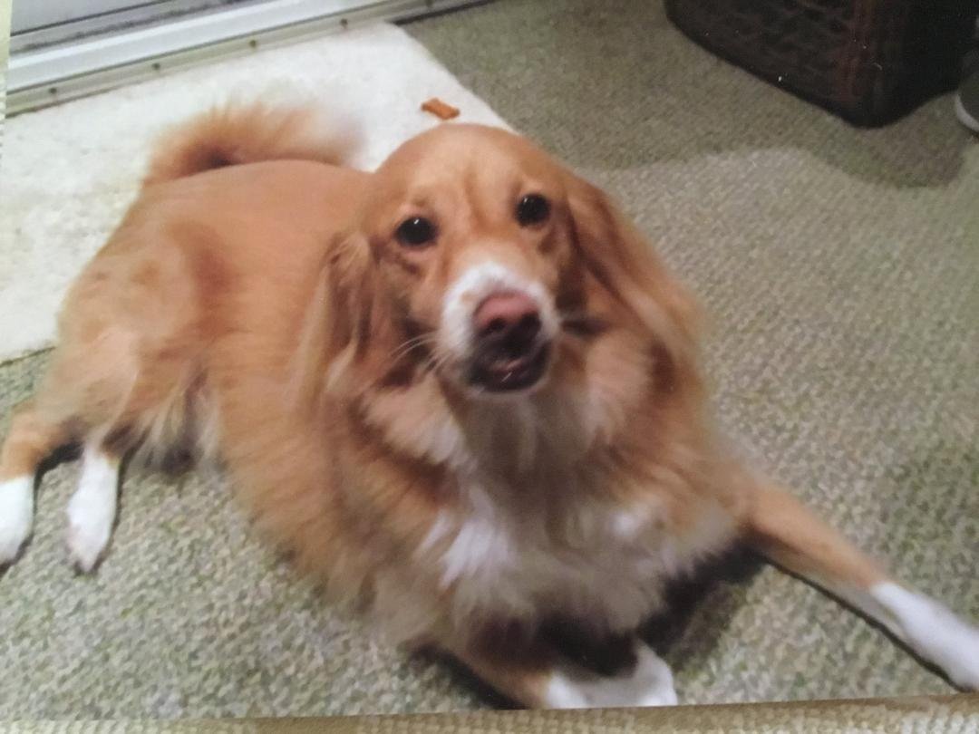 This is our girl Jezzy. She is the Sweetest girl!