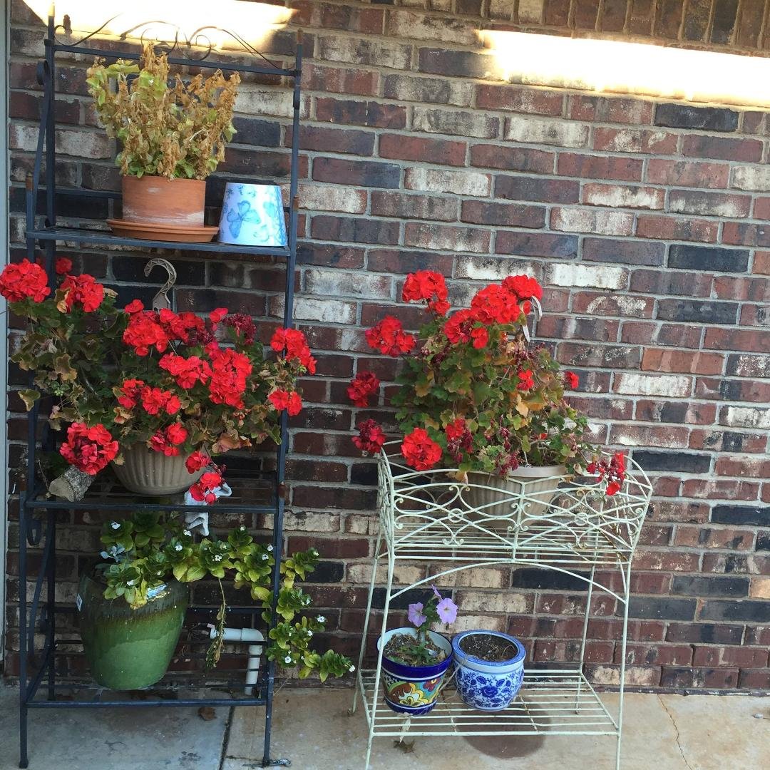 It looks like spring time at my house