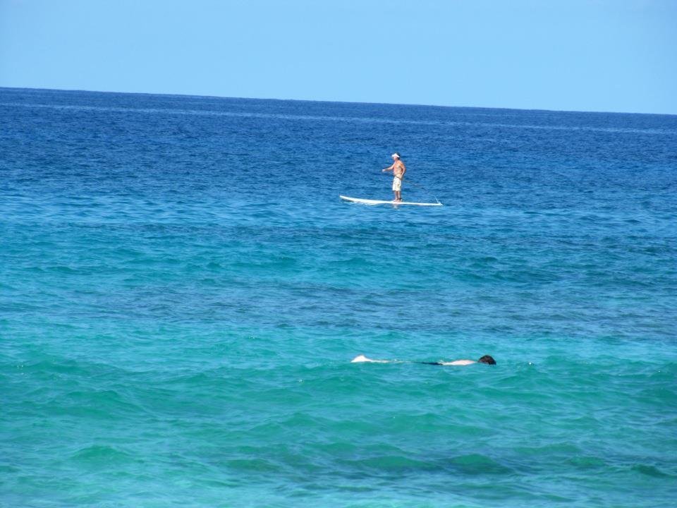 Another beautiful day. We spent part of the day watching sea turtles, snorklers and surfers at Magic Sands Beach. This morning we saw a lot of dolphins from the lanai and whales this afternoon.