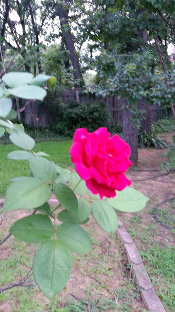Allison Santoro's album, Timeline Photos