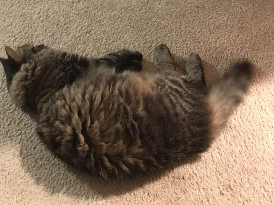 MOUSER Again