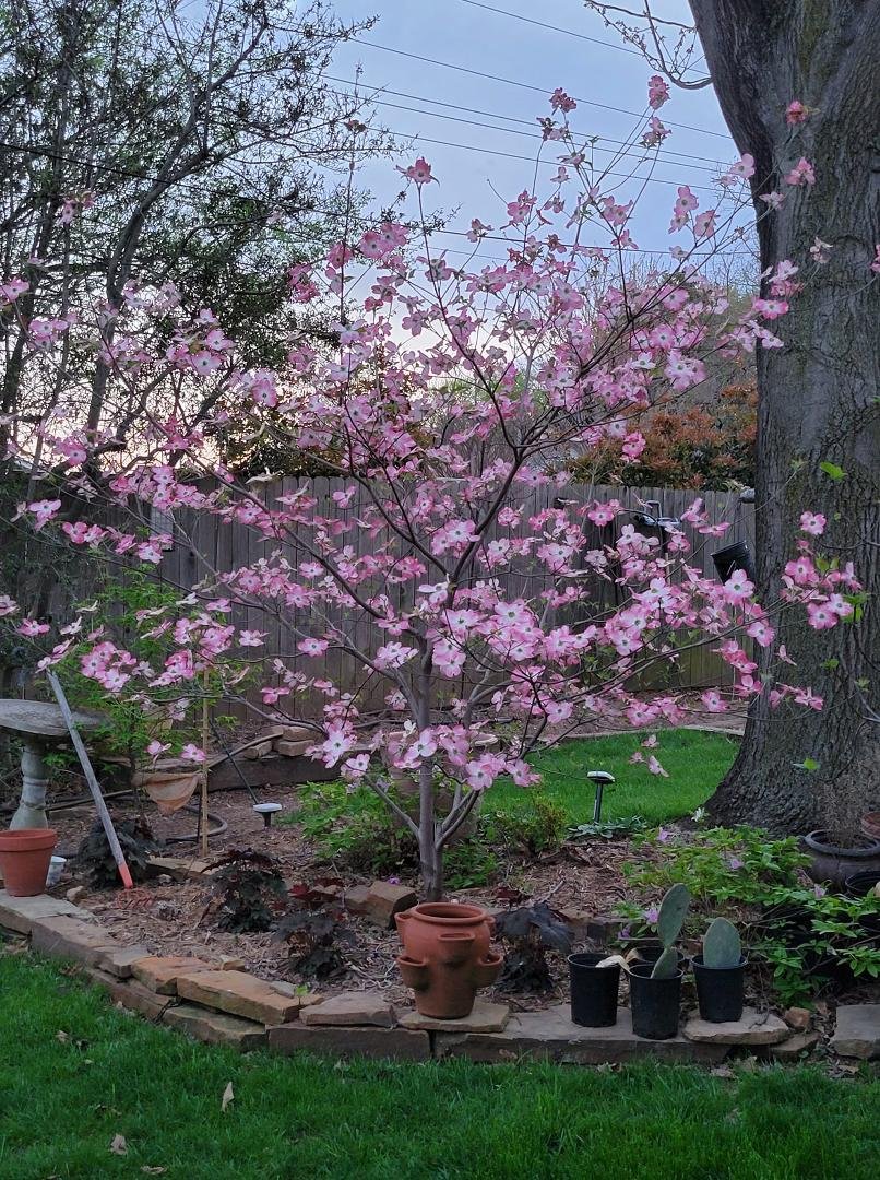 Spring has sprung...