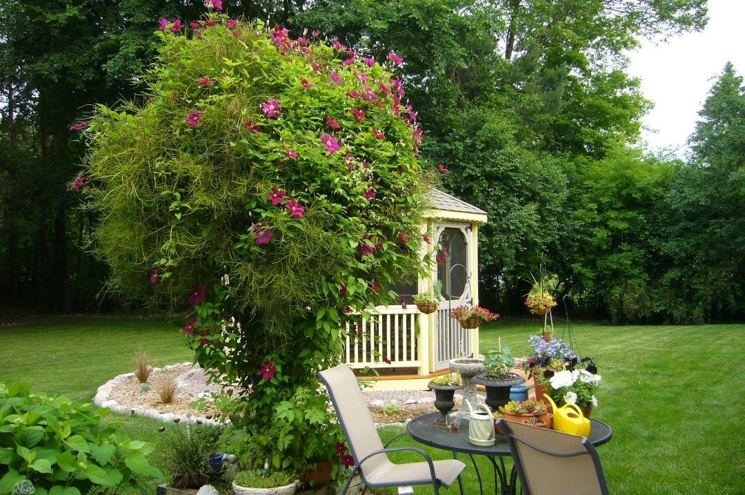 Pat Sharpe's album, Timeline Photos