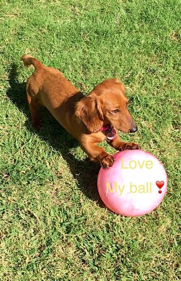 Harper Rose, playing soccer, her way! 😉