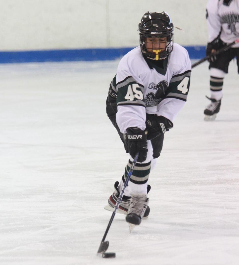 A couple pics of the boys at a Pittsburgh hockey tournament over the weekend!! A great time was had by all!!