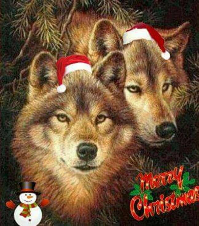 Floyd Shell's album, Timeline Photos