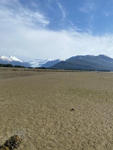 Another Glacier view across the tundra like conditions