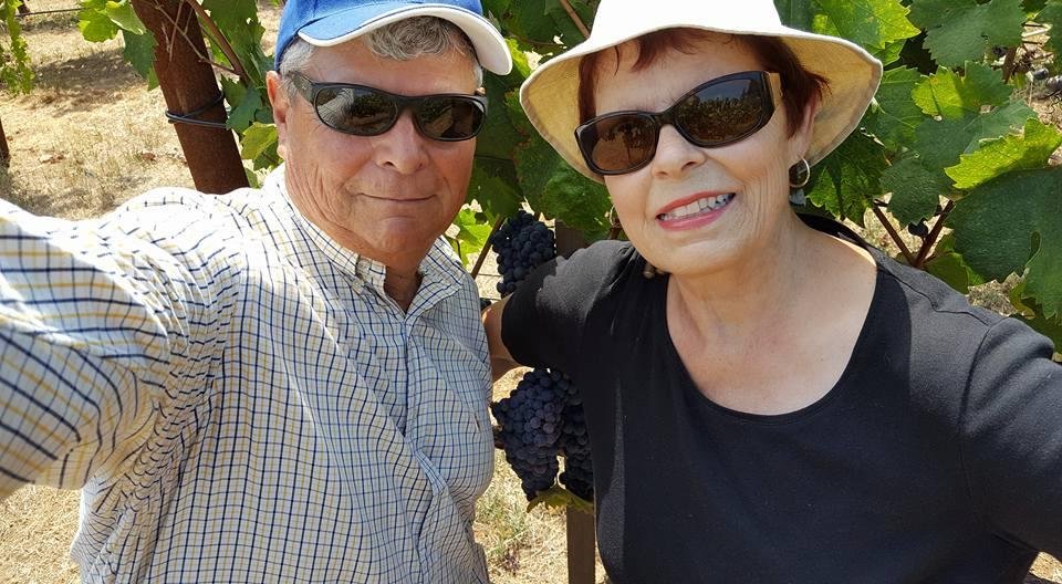 Grapes are ripening 19 Brix, pickers needed: hard work, low pay...send resume'