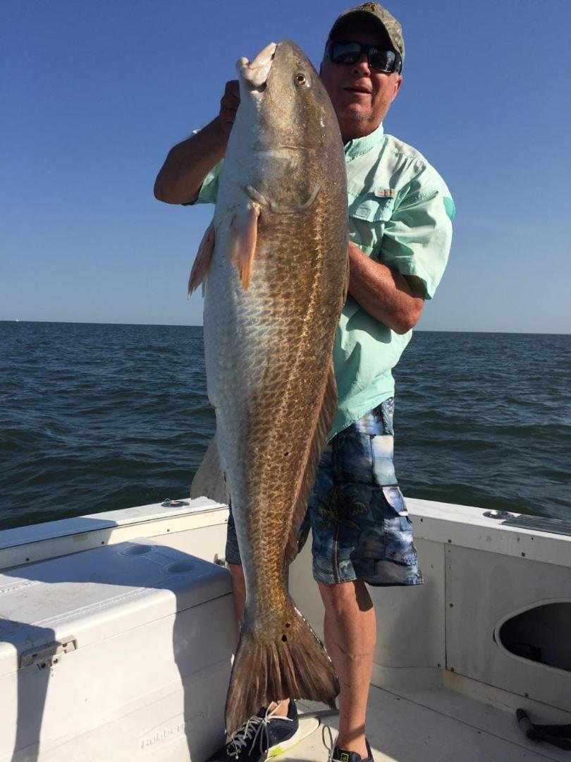 Big fish
