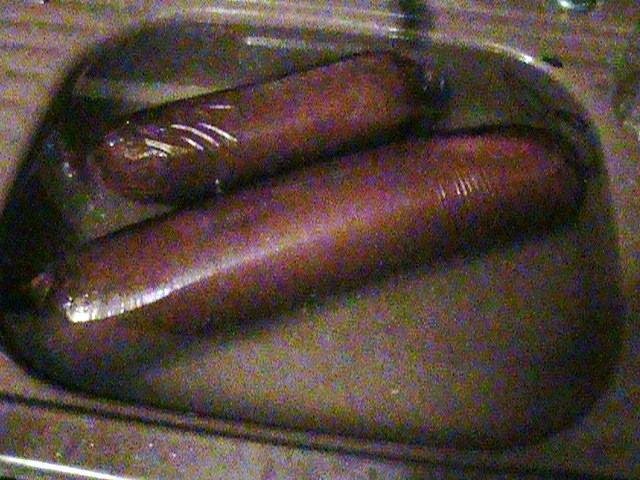 I am making home made bologna and smoked it. now have it in ice water to cool down.