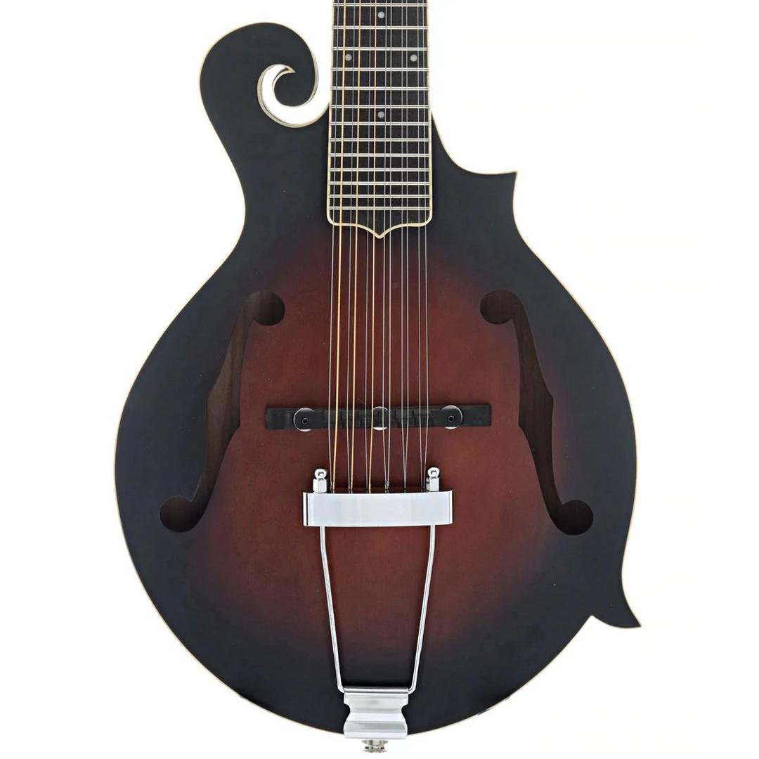 The latest addition to my collection. Can't wait till it arrives.
Gold Tone F-12
12 string "MANDITAR" with pickup