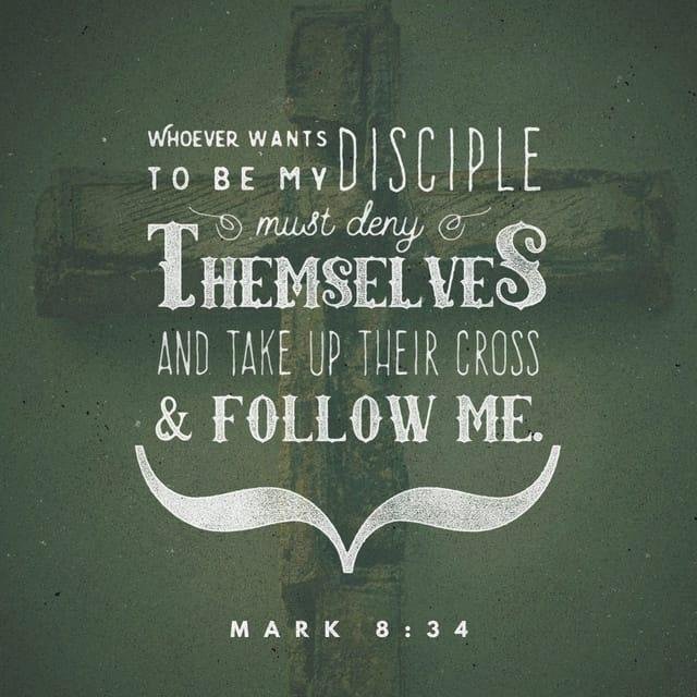 Be sure to count the cost of discipleship. It's not a bed of roses! Jesus never sugar coated the Gospel. He told it like it is, unlike many pastors today who leave out the hard parts.