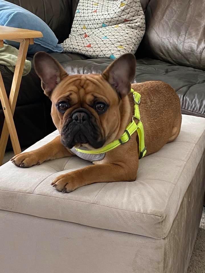 My little Winston!