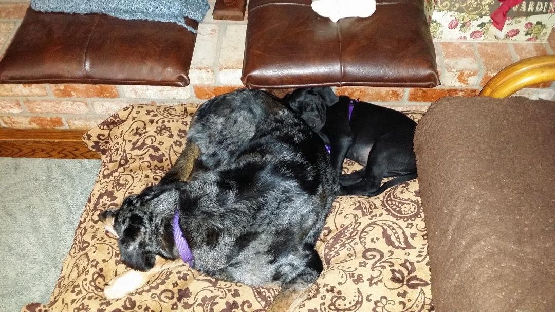 Getting comfortable with each other.
