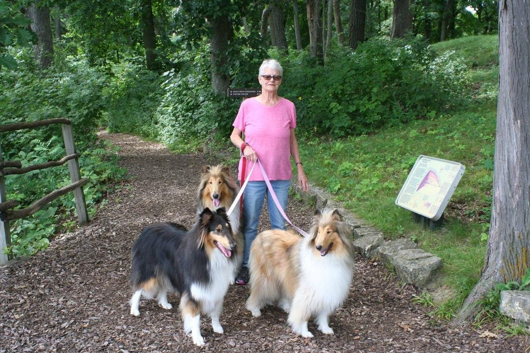 Fun on the road. First trip with all three pups. Effigy Mounds, Iowa