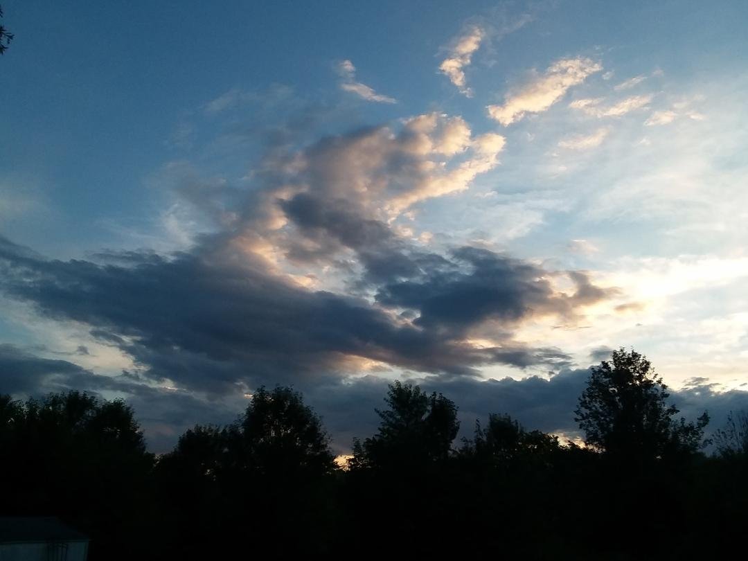 Shirley Ridley's album, Mobile Uploads