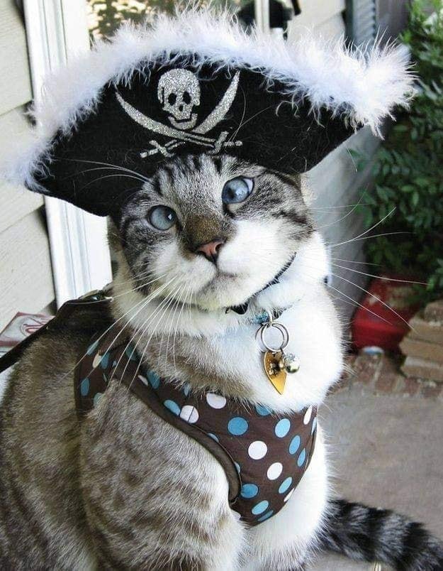 Happy Halloween!!!