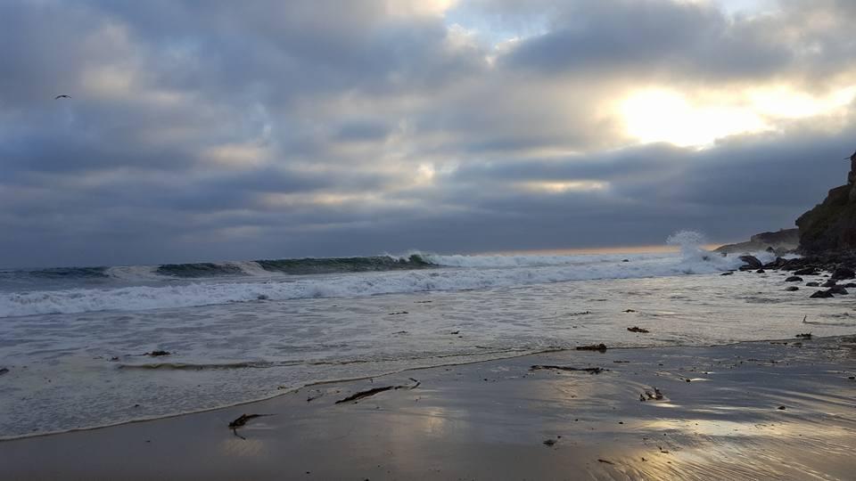 Steve Lee's album, Mobile uploads