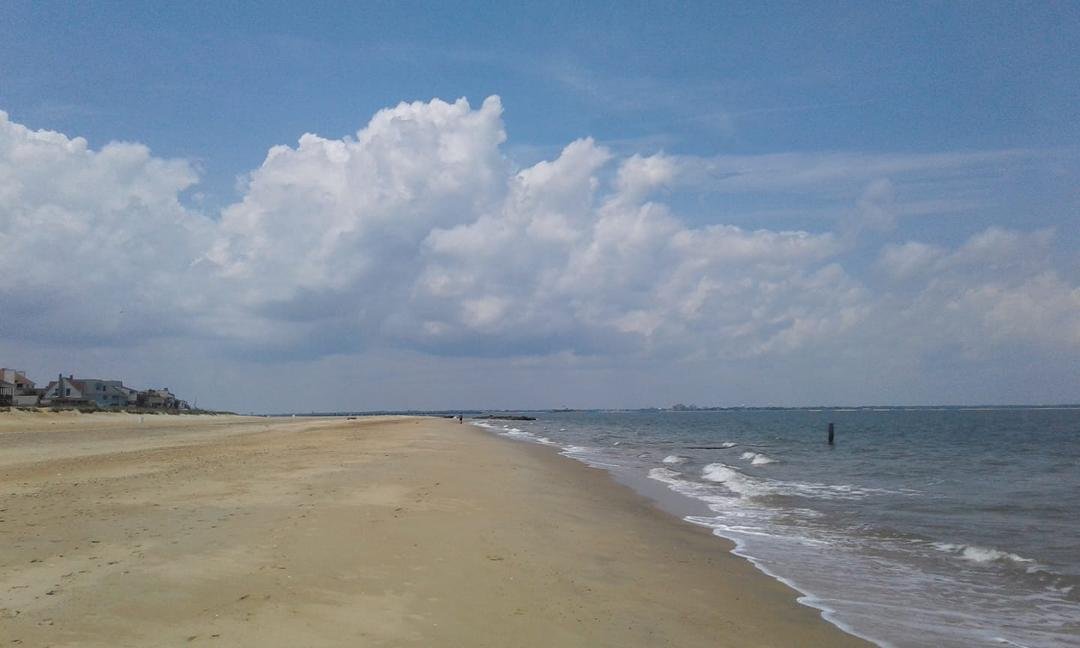 It is a beautiful afternoon for a walk on the beach.