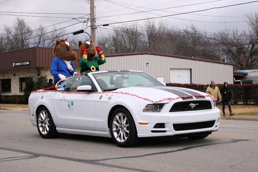 even two mustangs in a mustang