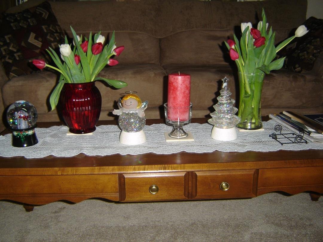 Christmas tulip, Thank you Cynthia, very, very nice.