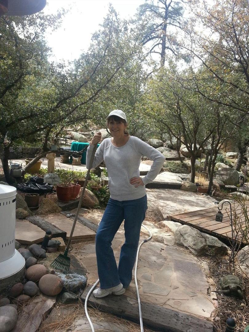 Susan Favia's album, Mobile Uploads
