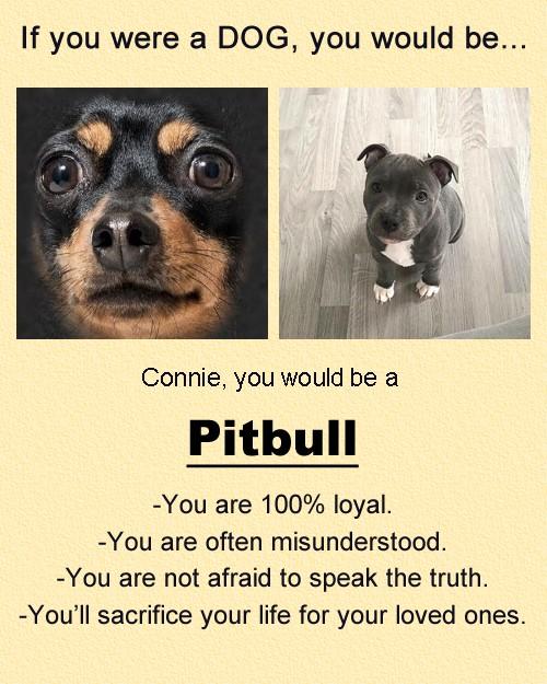 CONNIE ROACH (HOULE)'s album, Timeline photos