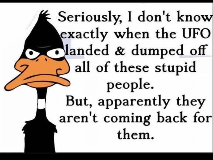 Peter Reilly's album, Timeline photos