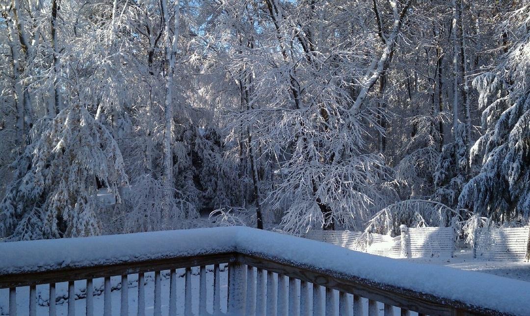 Let the new ice age begin Oct. 30 2011