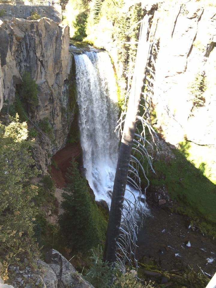 Tumalo Falls, west of Bend. Drops into canyon carved by glaciers sometime before you all were born.