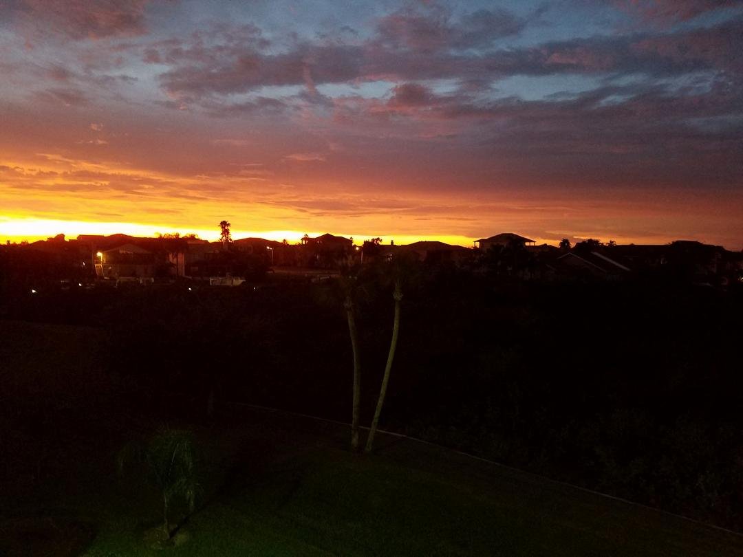 This is outside my window