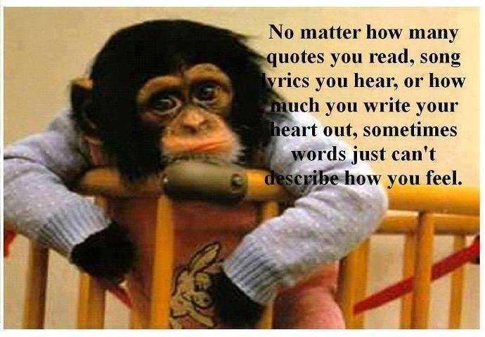 Leon Payne's album, Timeline Photos