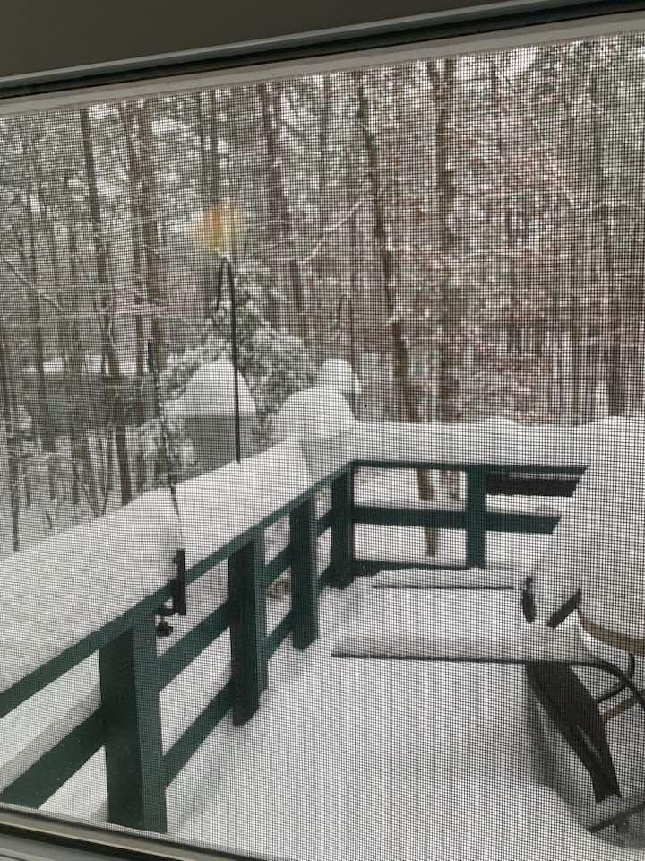 Not going anywhere today 🥶
