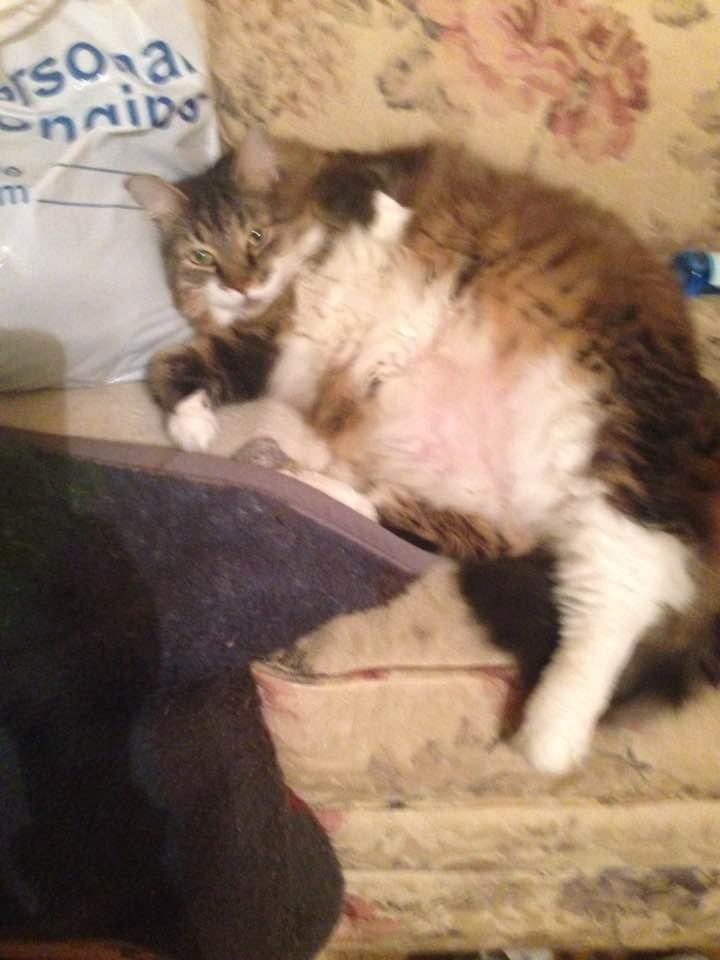 Relaxing after a hard day lol