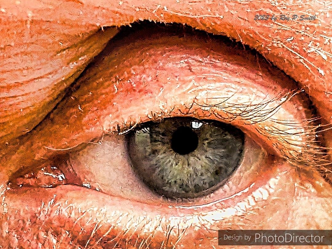 Big brother is watching you...