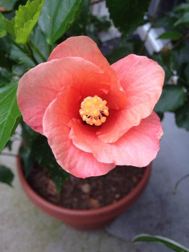 Stephen Hoover's album, Timeline Photos