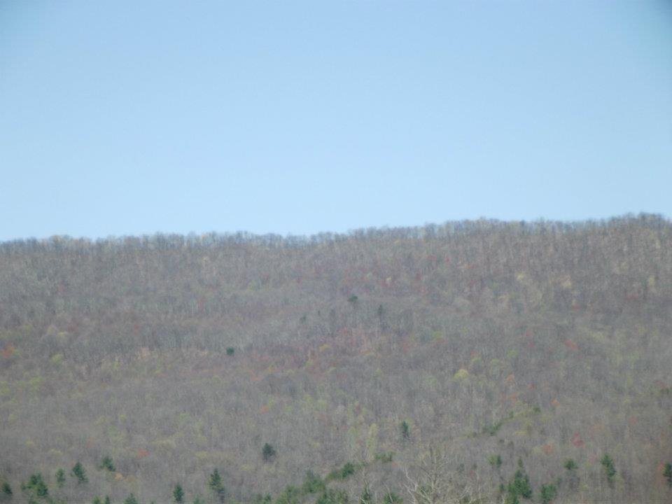 Don Maindonald's album, Our TRIP TO FLORIDA & TENNESSEE