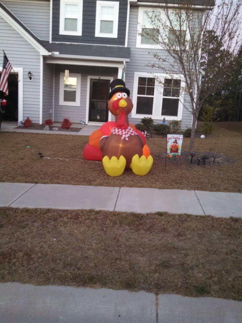 Turkey in front of house.