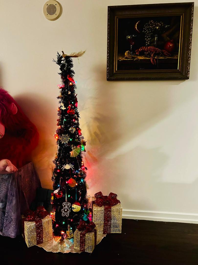 I’m no Martha Stewart and my tree will never be in a home living magazine, but every ornament holds a memory and this little tree definitely brightens the room during the holidays. 🎄