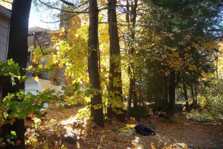 Joyce Stempkowsky's album, Lake Connolly - Thanksgiving