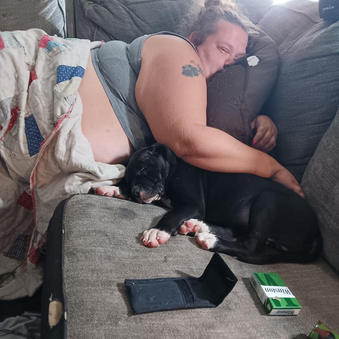 James Ha's album, Mobile uploads