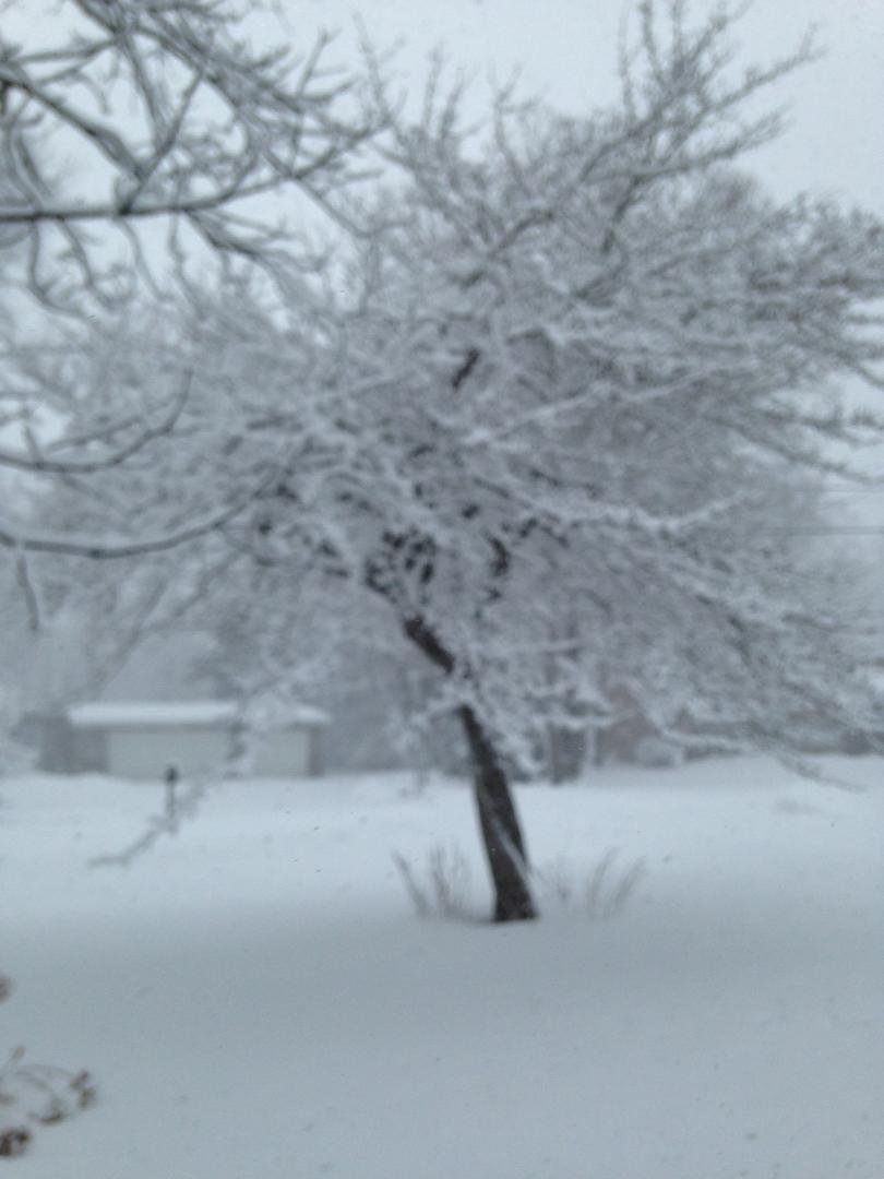 It's raining snow