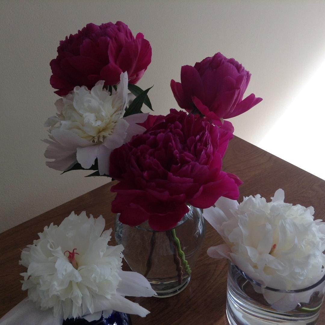 From my yard.