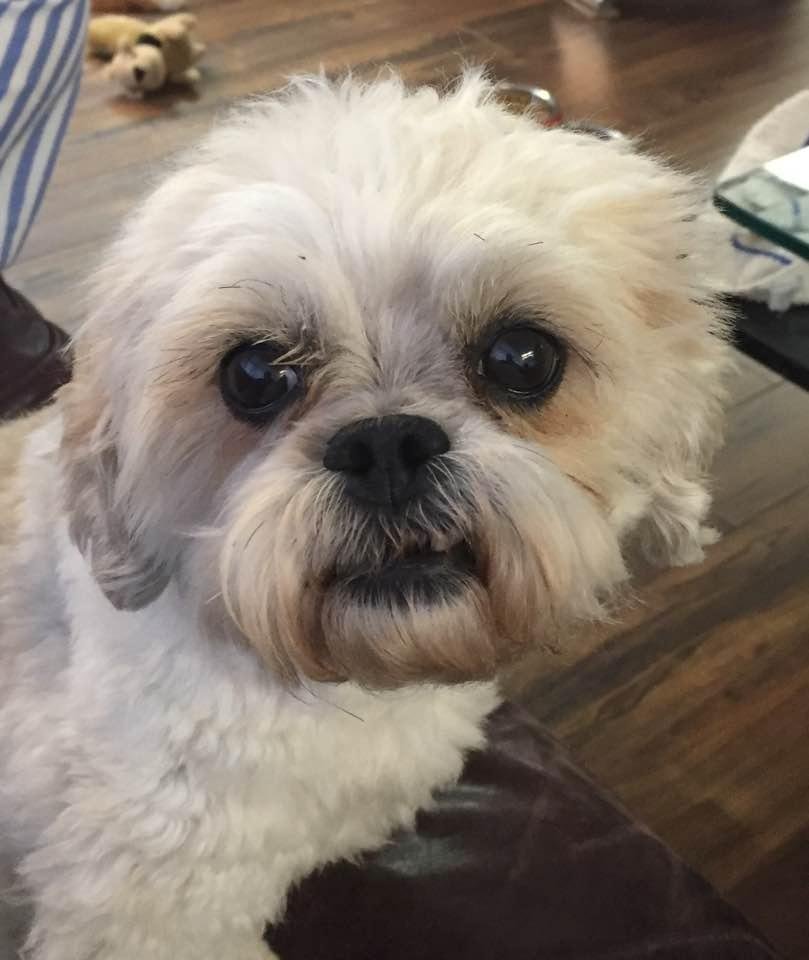 Wrigley is telling me he wants to go to bed.