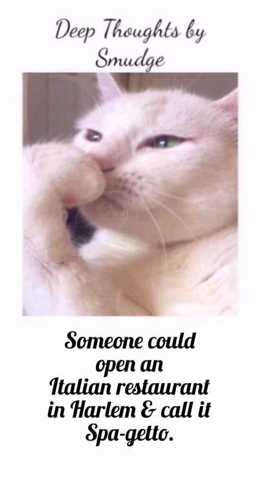William Chakos' album, Timeline Photos