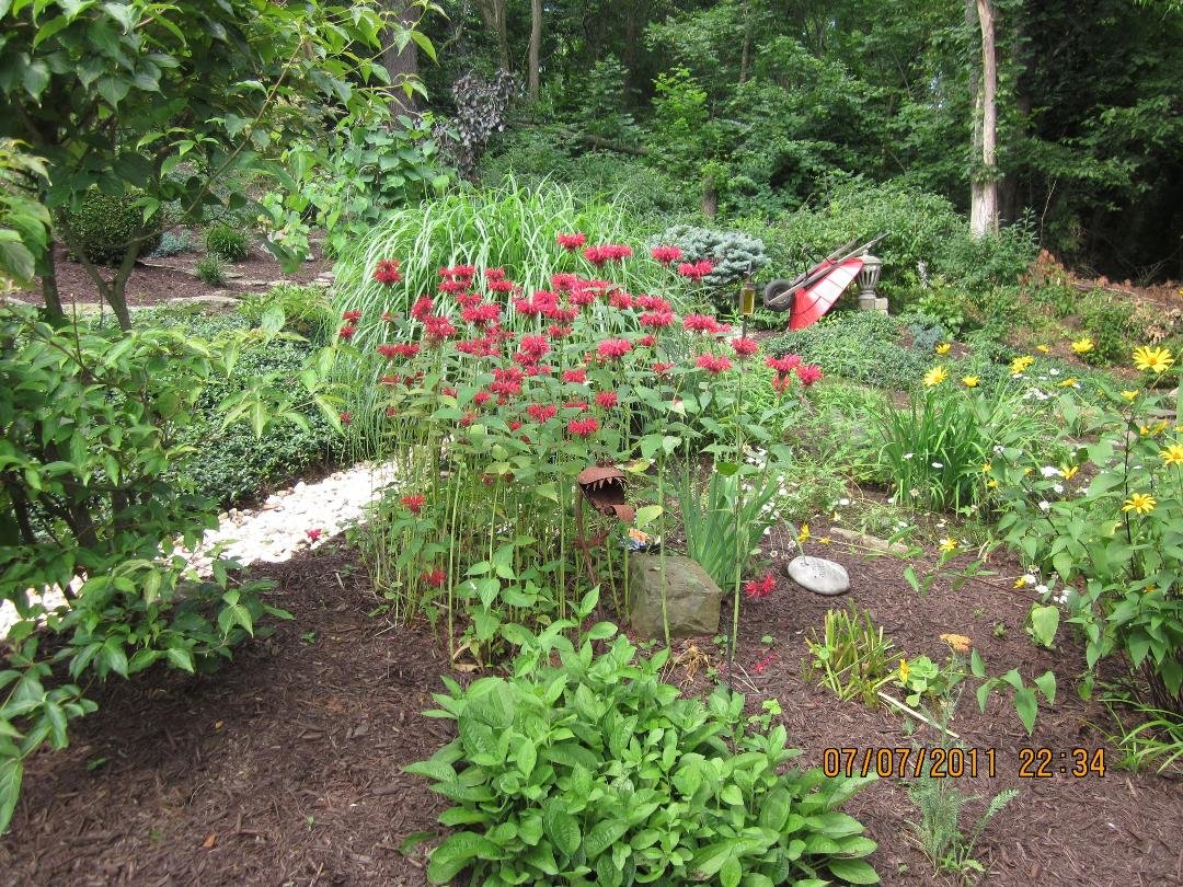 Bee Balm and Venus Fly Trap Sculpture